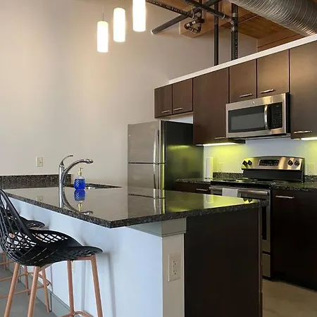 Downtown Loft With Skyline View Apartment